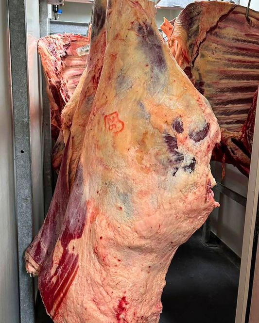 Whole or Half Body of Beef - $20/kg
