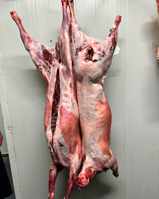 Whole or Half Body of Lamb - $20/kg